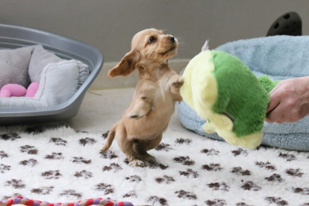 11038276_10206688667040422_7926832291894035228_o