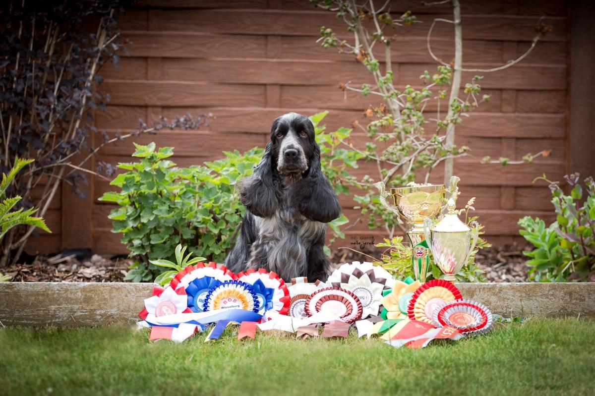 11538956_10207469105110886_4643246251276757878_o