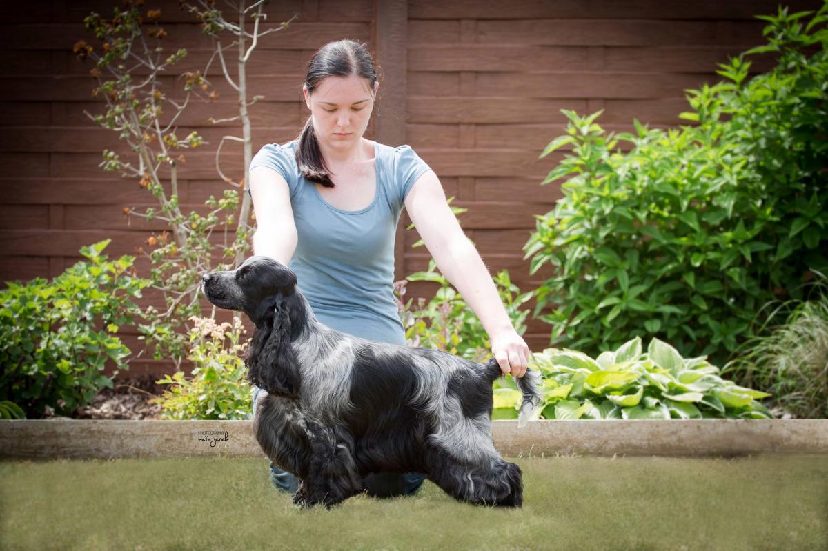 11696589_10207484964387358_452946104228284044_o