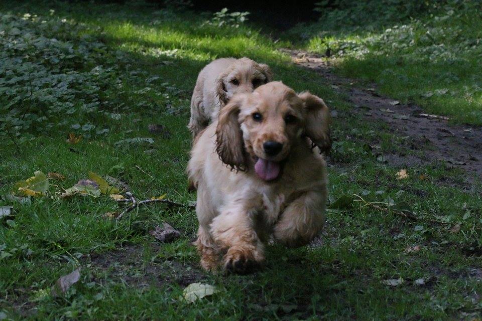 12048677_1631754157105996_1320718002_n