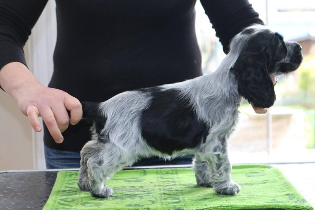 1606531_10203739932643905_2115775791_o