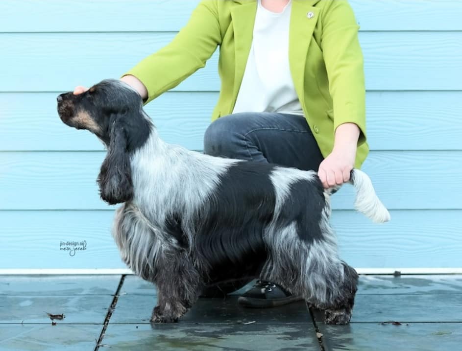 508172780_10238926760612613_6830764462692713386_n