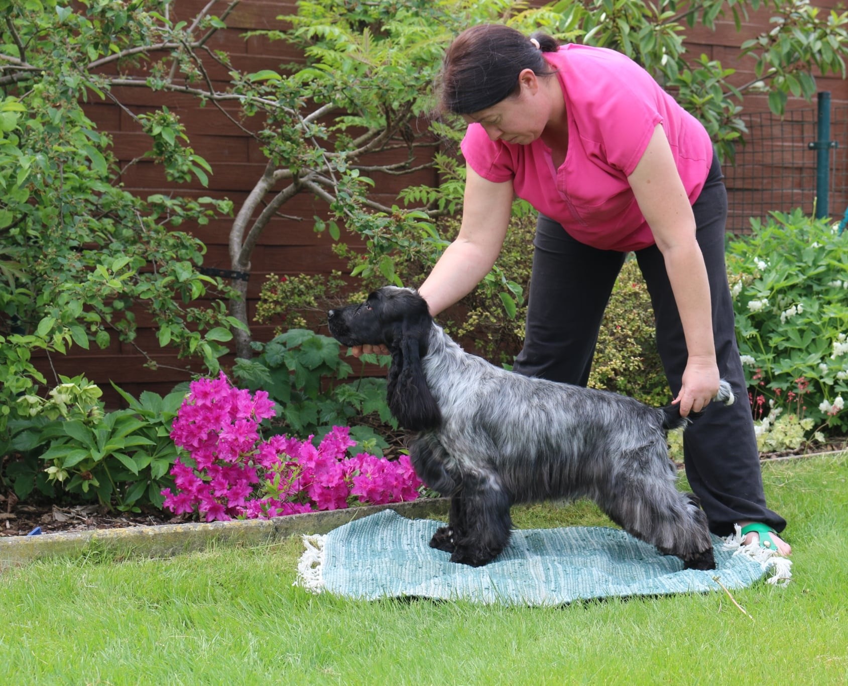 493906092_10238423126862084_3670047769316667667_n